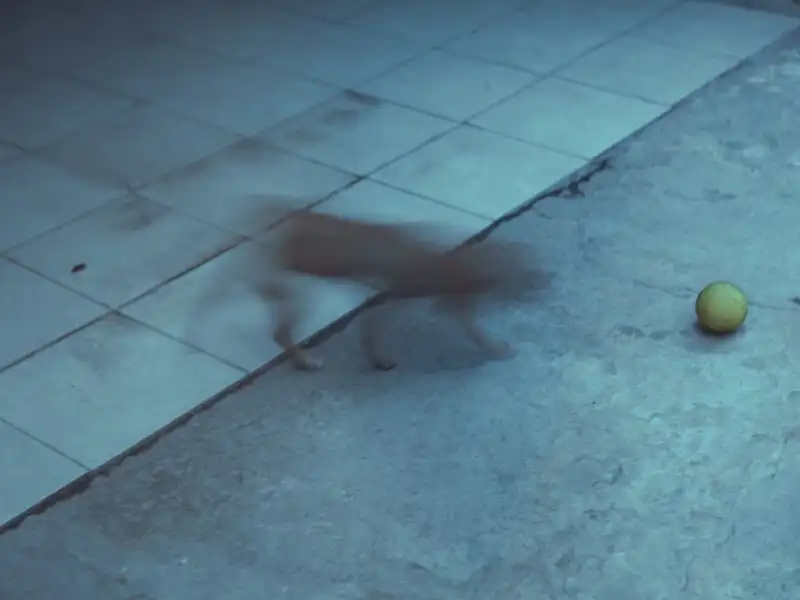 Diario Visual / Street Photography - Uli Vergara 17