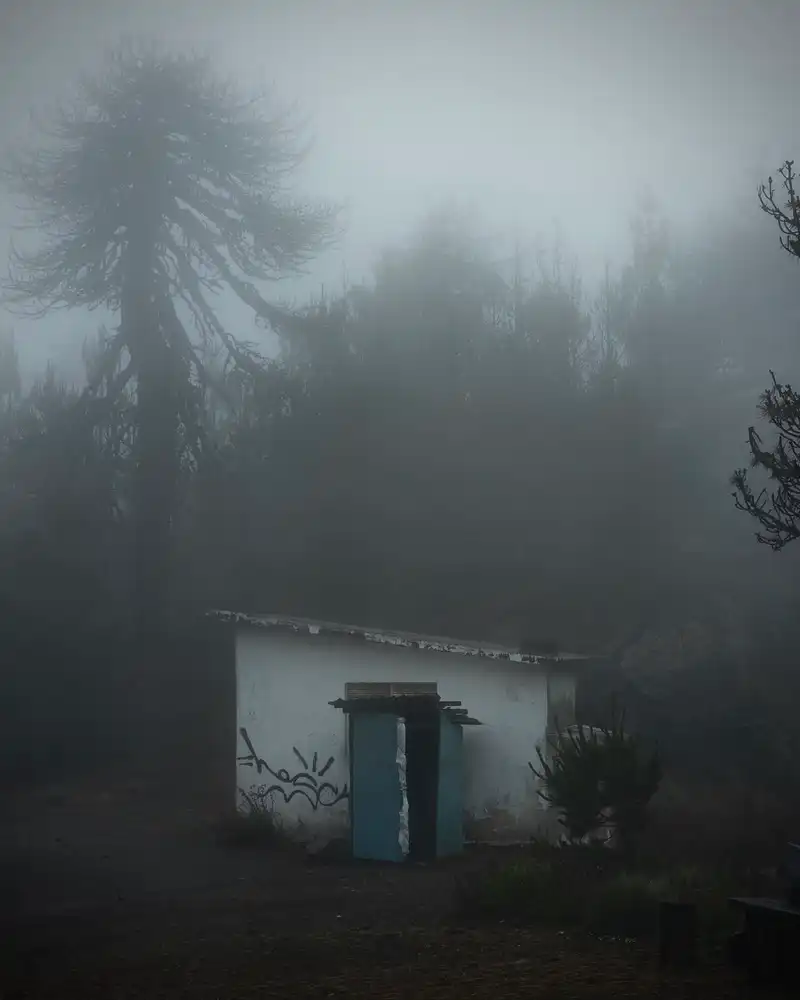 Diario Visual / Street Photography - Uli Vergara 3